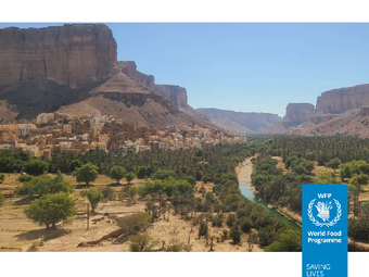 Annex III: Key Impact Profiles for Yemen