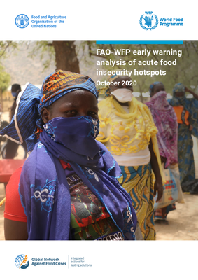 FAO-WFP early warning analysis of acute food insecurity hotspots (October 2020)