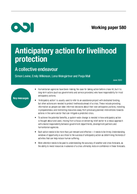 Anticipatory action for livelihood protection: a collective endeavour