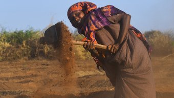 Ethiopia. Anticipatory Action in Somali Region, Ethiopia